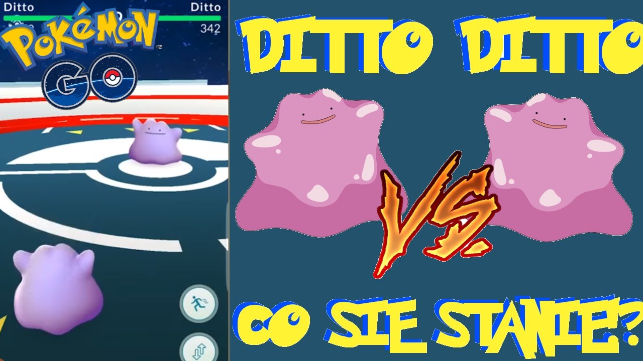DITTO VS DITTO W GYMIE W POKEMON GO !! CO SIĘ STANIE !?