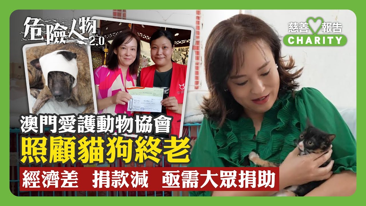 💚慈善報告｜澳門愛護動物協會  照顧貓狗終老｜經濟差  捐款減  亟需大眾捐助｜危險人物2.0