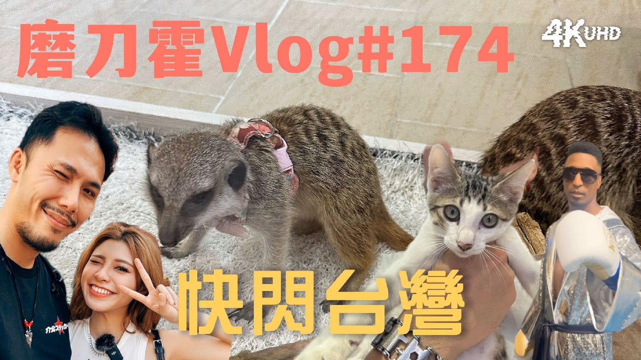 磨刀霍Vlog#174｜快閃台灣｜行程滿滿的四天