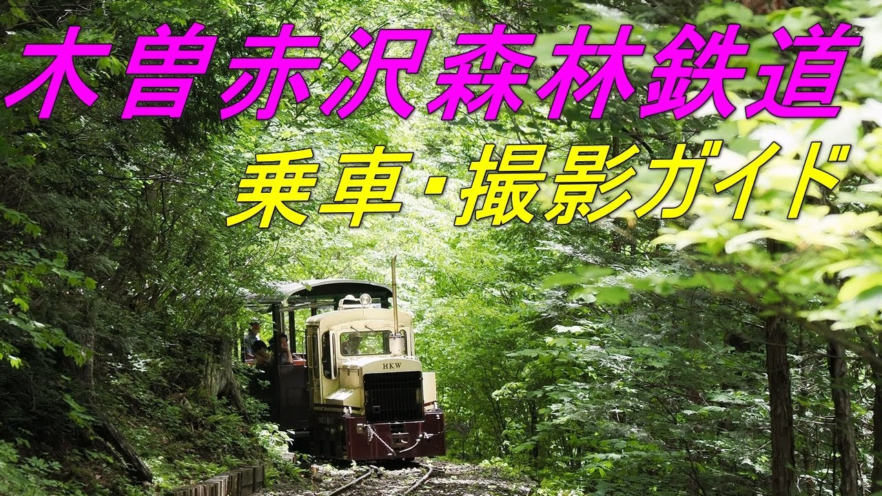 2025年6月7日 信州木曽 上松 赤沢自然休養林 赤沢森林鉄道