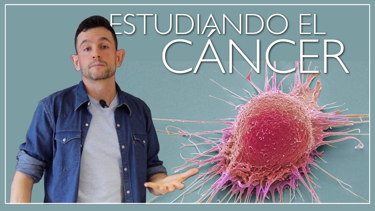 Física y Matemáticas del Cáncer