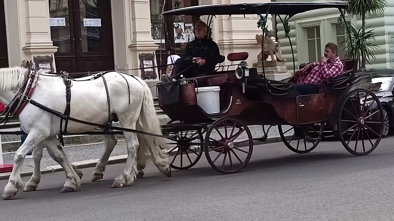 Потоки туристов возобновились!  Карловы Вары сегодня 04.08.2021