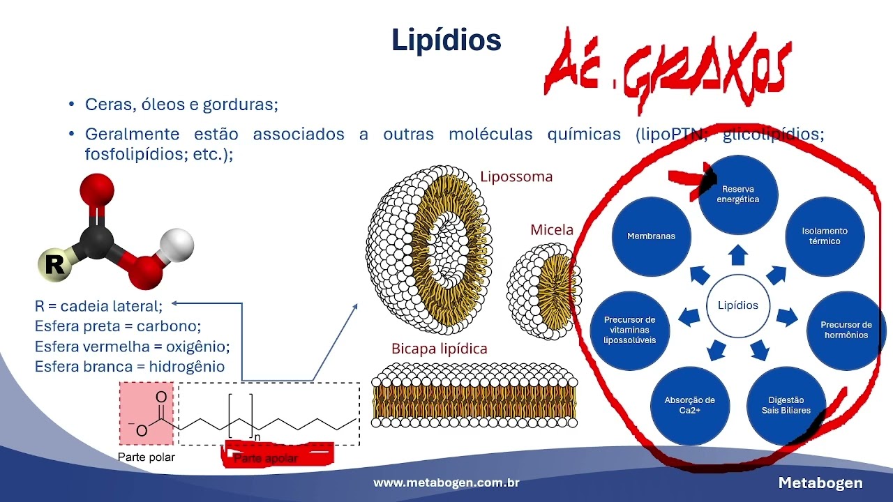 Modulo2_aula3