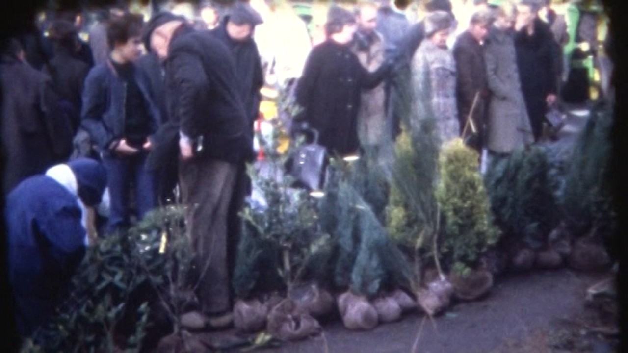 olen markt november 1972