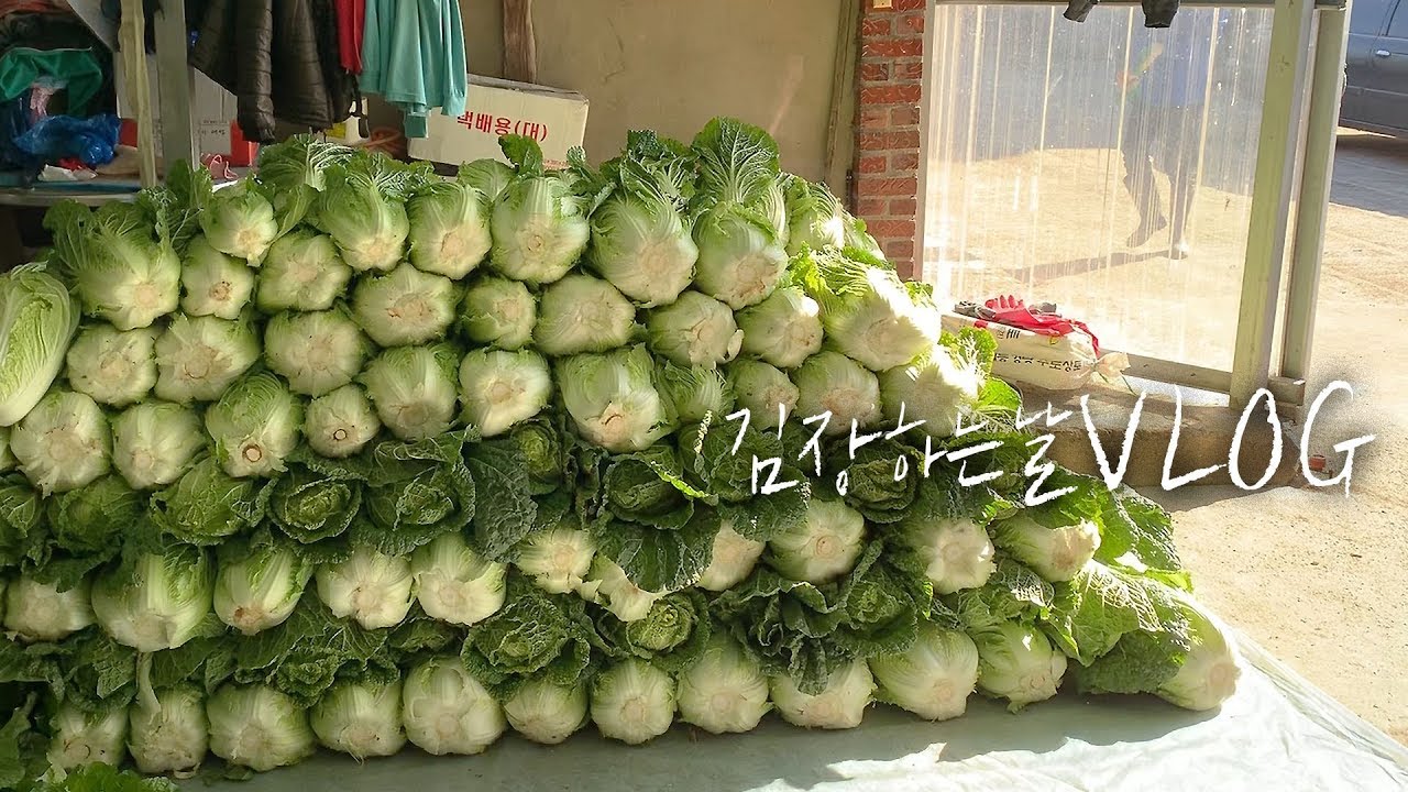 SUB) 김장하는날 VLOG🥬(feat,배추500포기) 이제이레시피