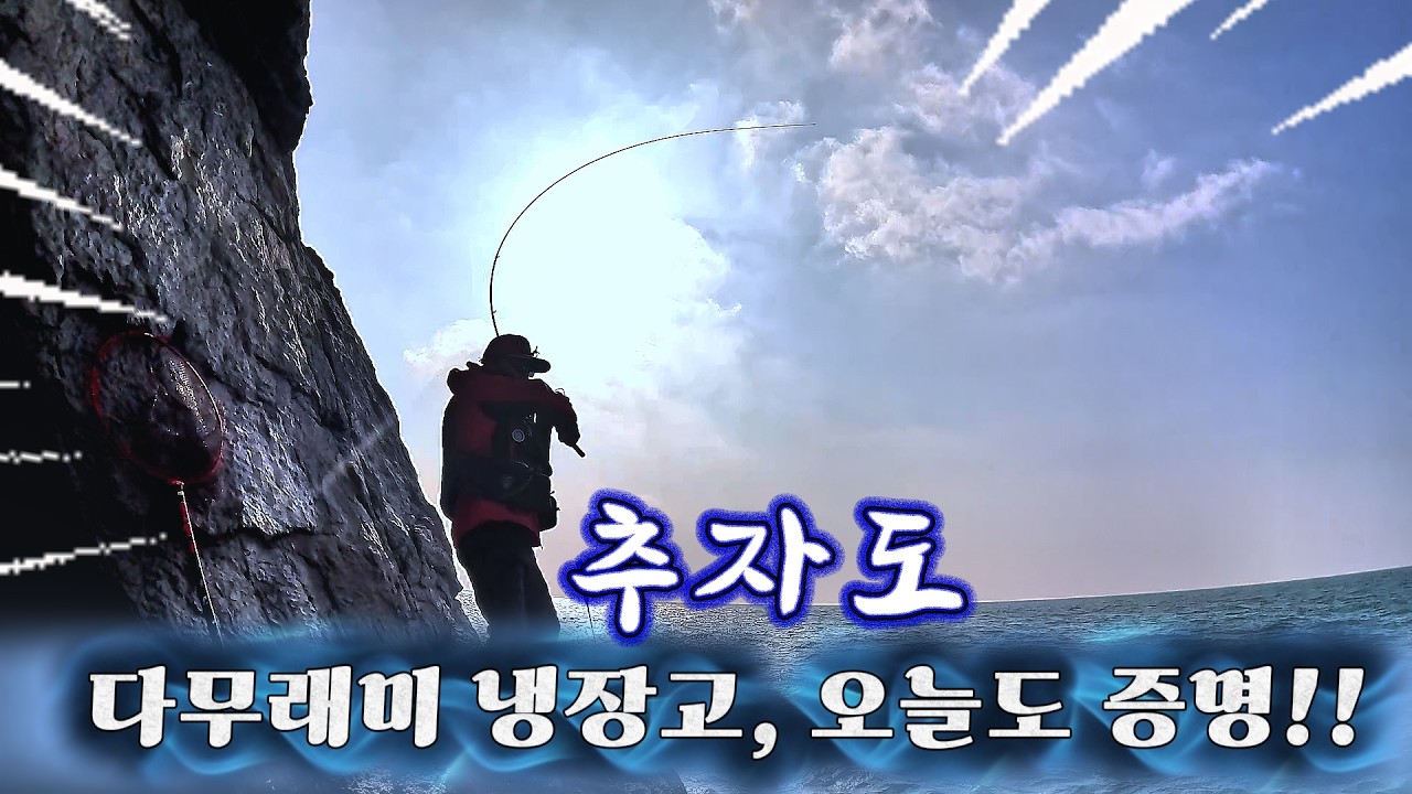 추자도 다무래미 냉장고 포인트, 감성돔은 역시 여기였습니다