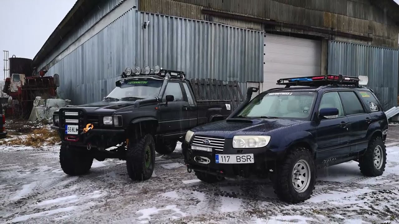 Jõulusafari 2024