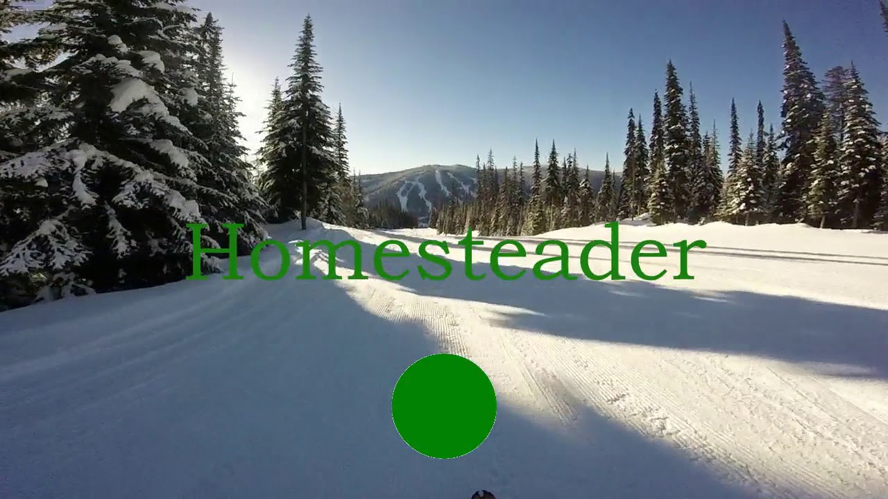 Homesteader & Grannie Greene's - Sun Peaks - Skiing