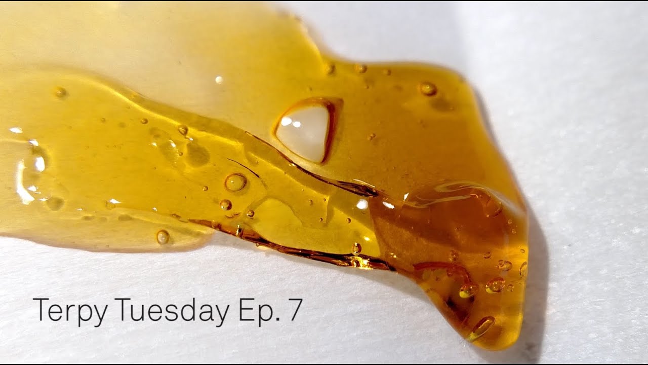 Tahoe OG Live Resin: Terpy Tuesday Ep.7