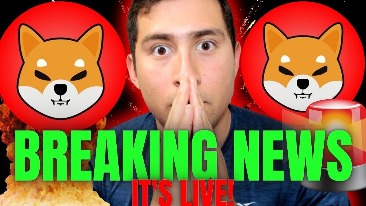 SHIBA INU SHIBARIUM IS LIVE! PUBLIC PENDING BLOCKS WORKING!
