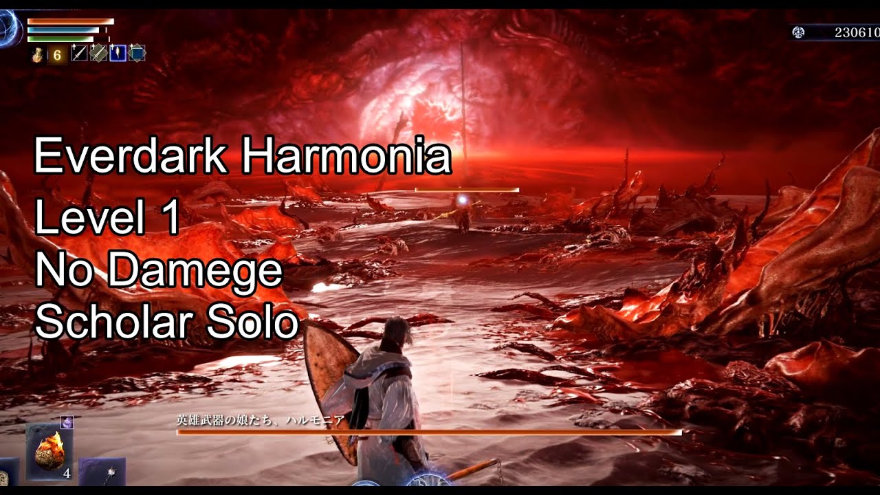 【レベル1/ノーダメージ/学者ソロ】救いの旗手 ハルモニア / Everdark Harmonia【Elden Ring Nightreign】