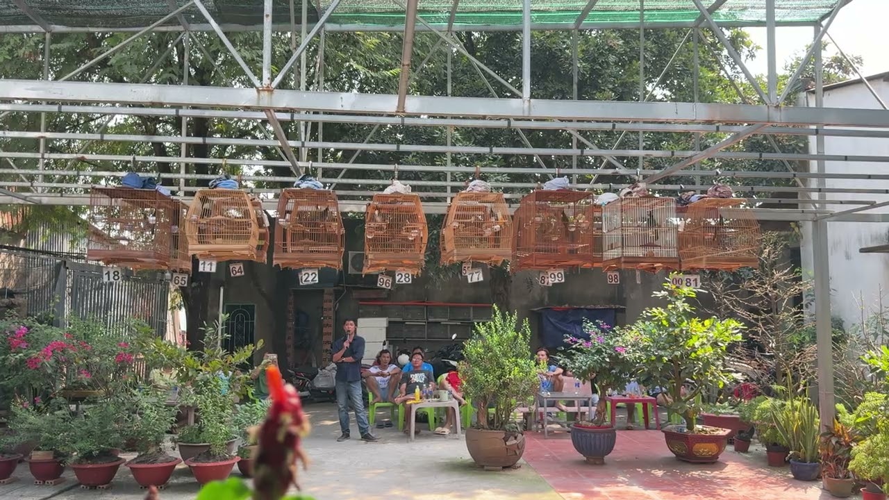 Vòng Chọn TOP 20  Vé 300🌾 CLB 186 | Chào Mào Vinhomes 