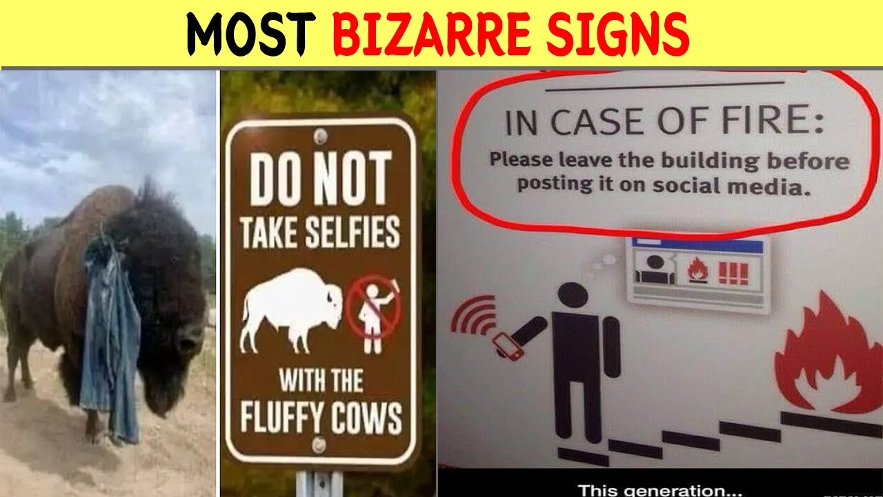 These Weird Signs Must Have a Crazy Backstory #2.
