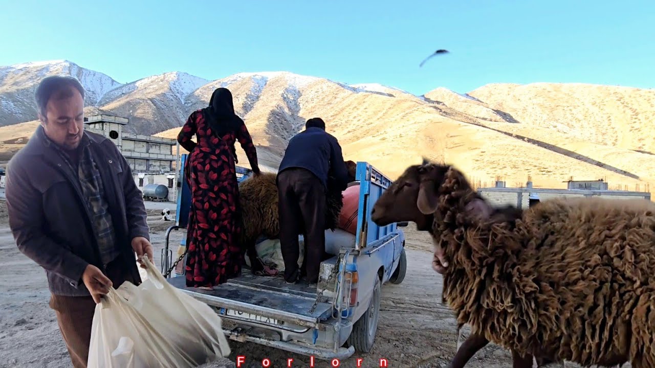 The love life of Khosrow and Sakineh: Khosrow's kindness and the exchange of a sheep!