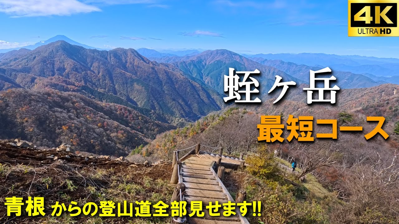 【登山体験】蛭ヶ岳、最短コースからサクっと往復してきました！／青根からの登山道全部見せます！／2024/11