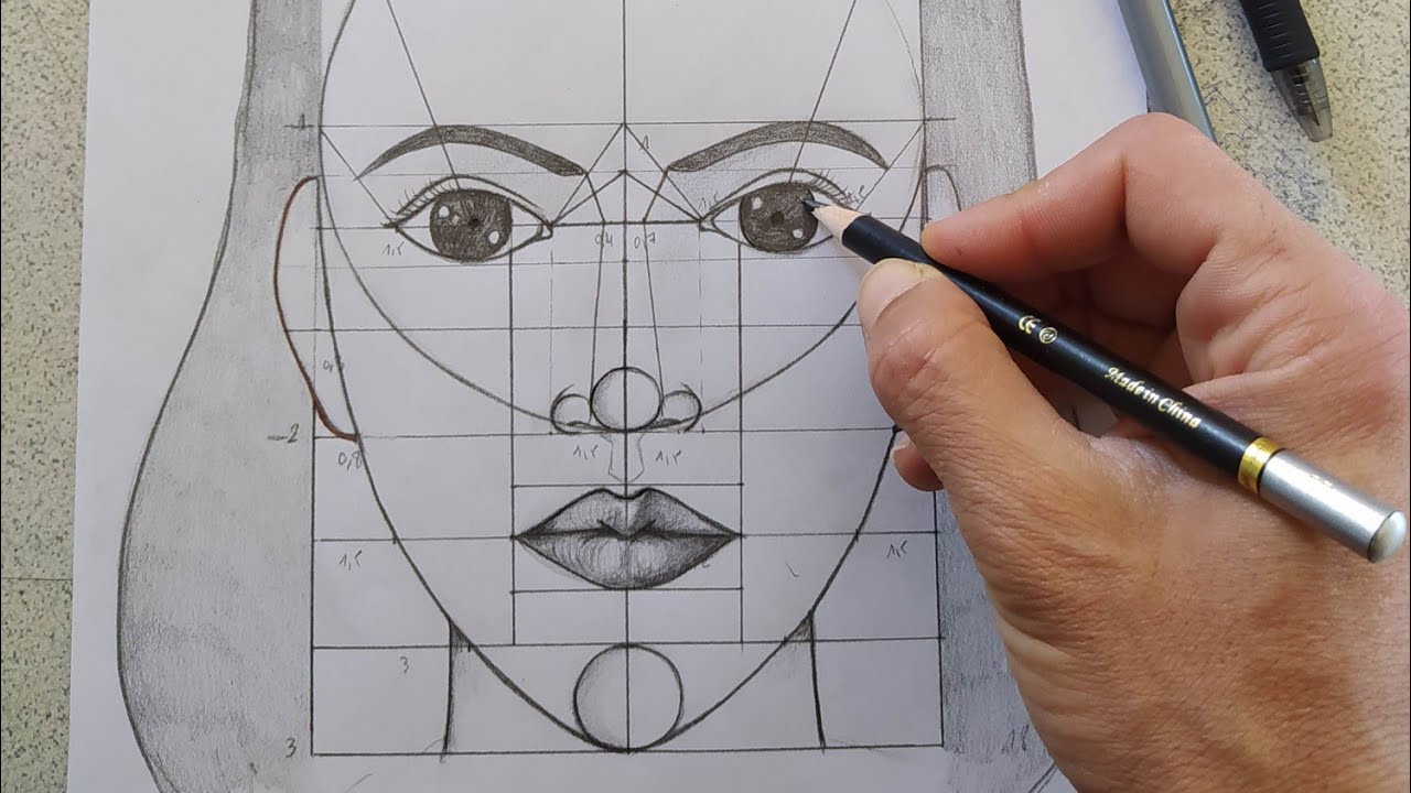 رسم قياسات الوجه بالتفصيل .درس كامل .