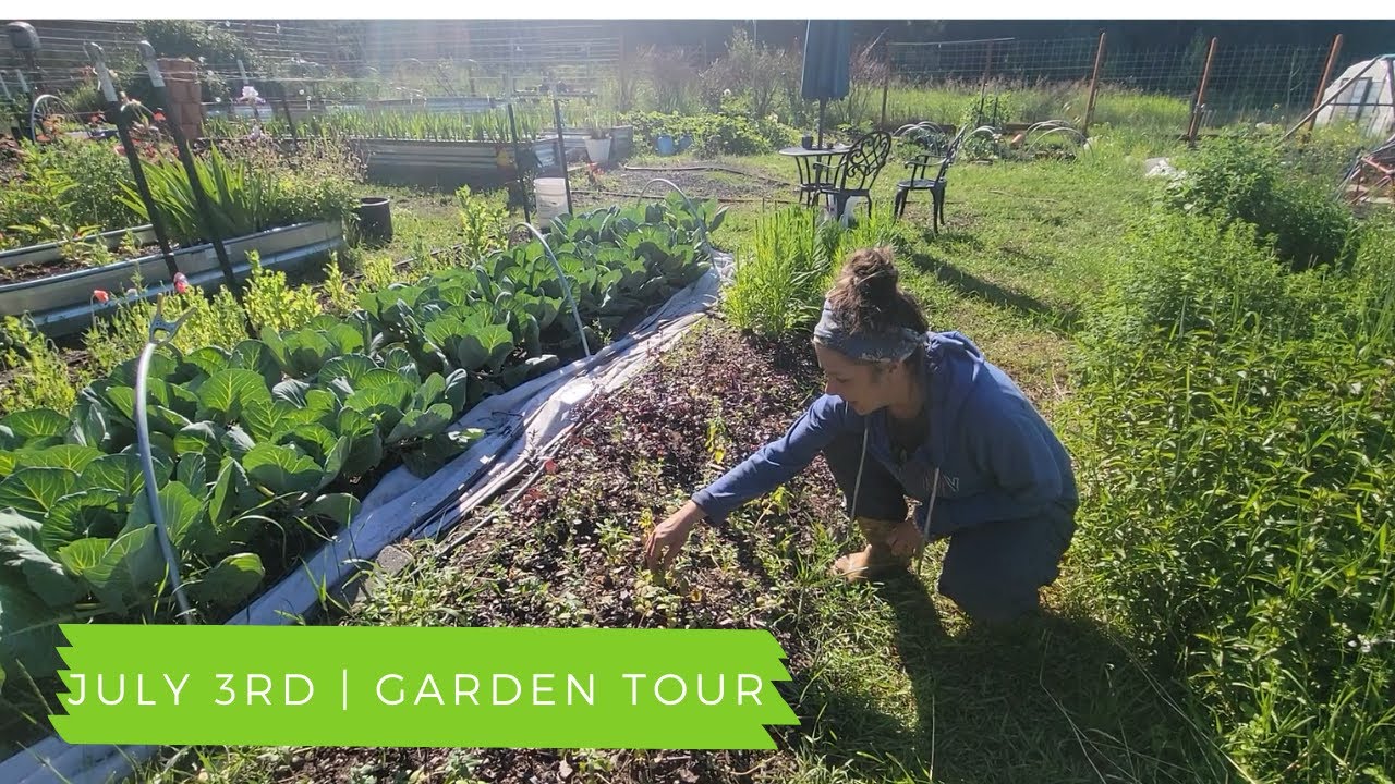 July 3rd Garden WALK  | Adventures In Reality