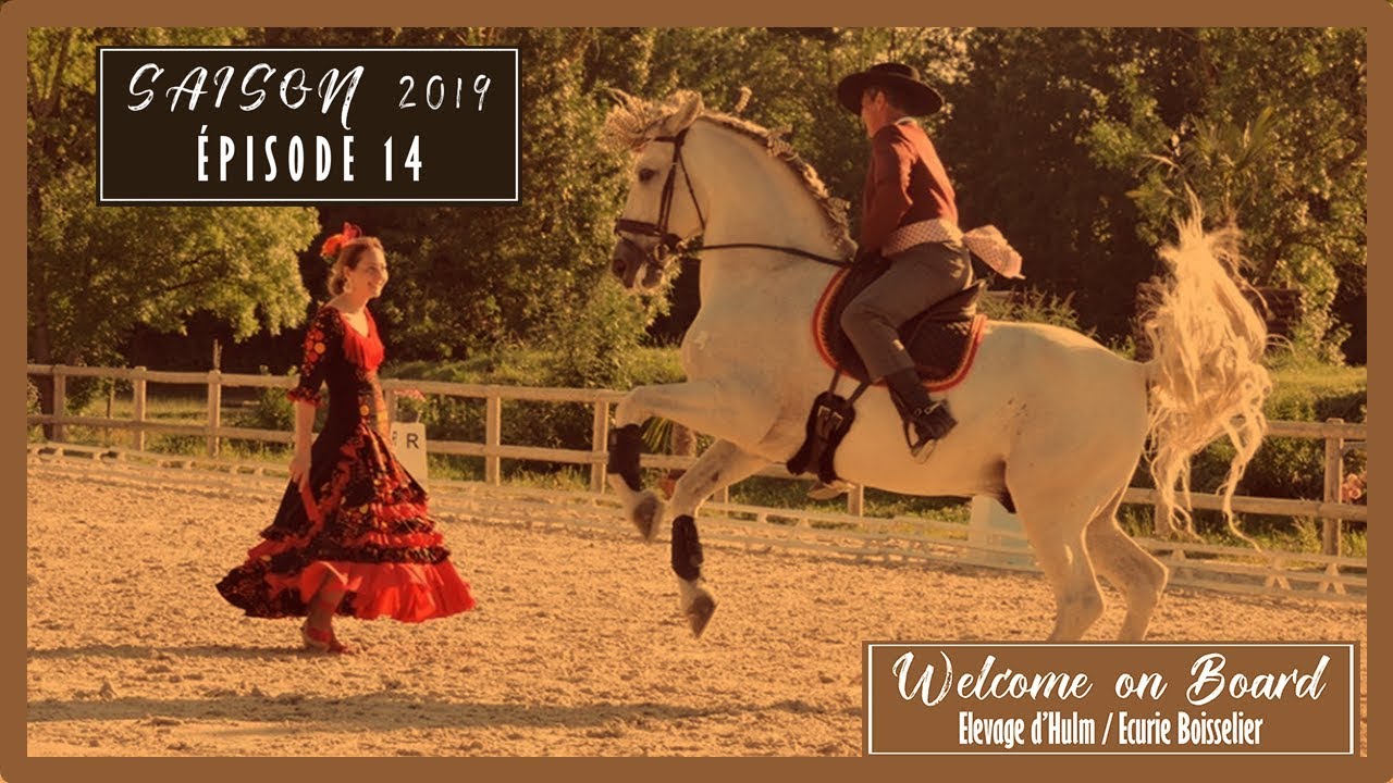 💃  Soirée Espagnole lors du concours de Dressage de Preignan 💃