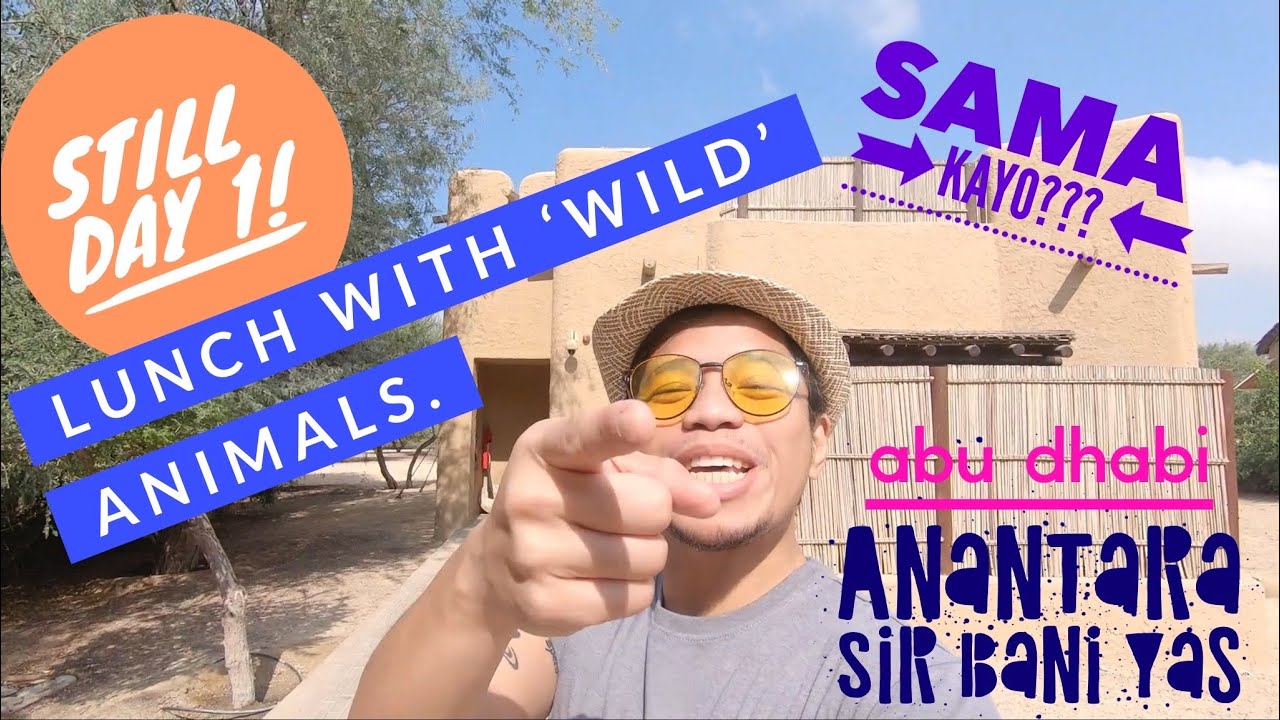 Day 1B Anantara: Checking in at Al Sahel Villas and having lunch with 'wild' Gazelles and Peacocks!