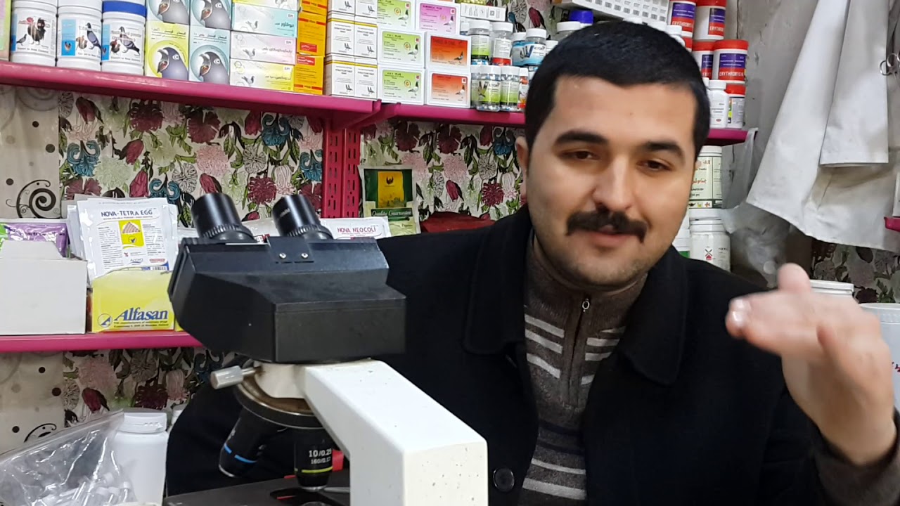 #كيف تقضي على امراض الحمام للدكتور كمال الناصر  من محافظة ديالى