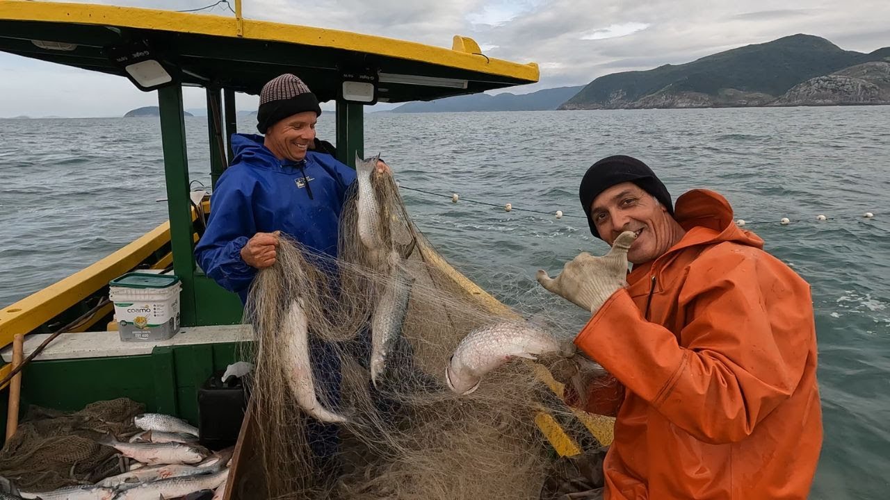 PESCARIA DE TAINHA NO MAR - Tainha no Feijão