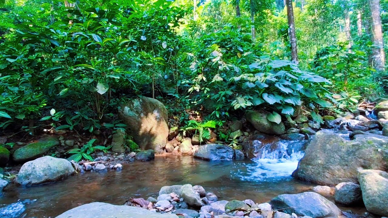 River Flow for Inner Peace