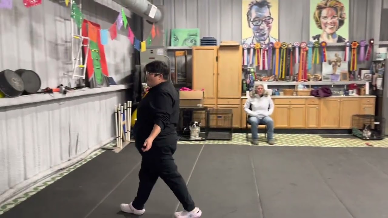 TG 3 handler movement