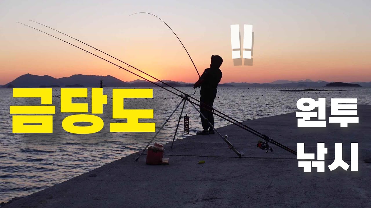 금당도에 가서 원투낚시로 직접 잡아 먹어보자
