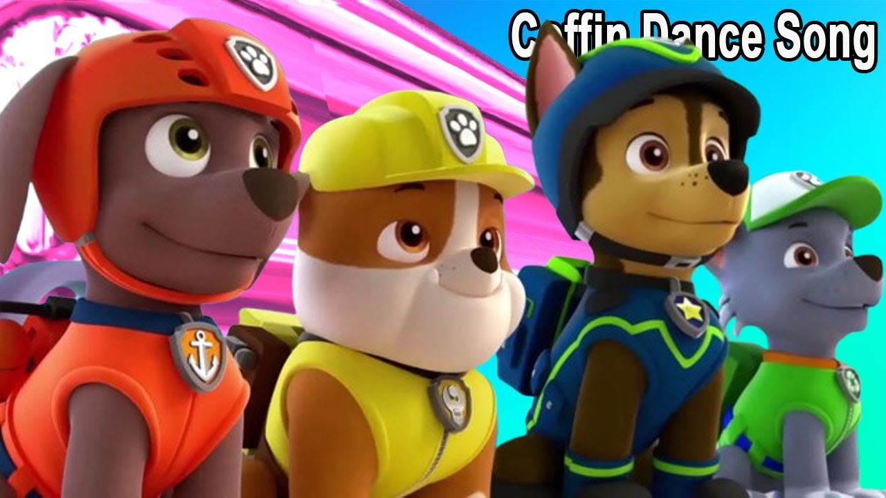 Paw Patrol - Coffin Dance Song Cover - Meme Song Cover Ep06