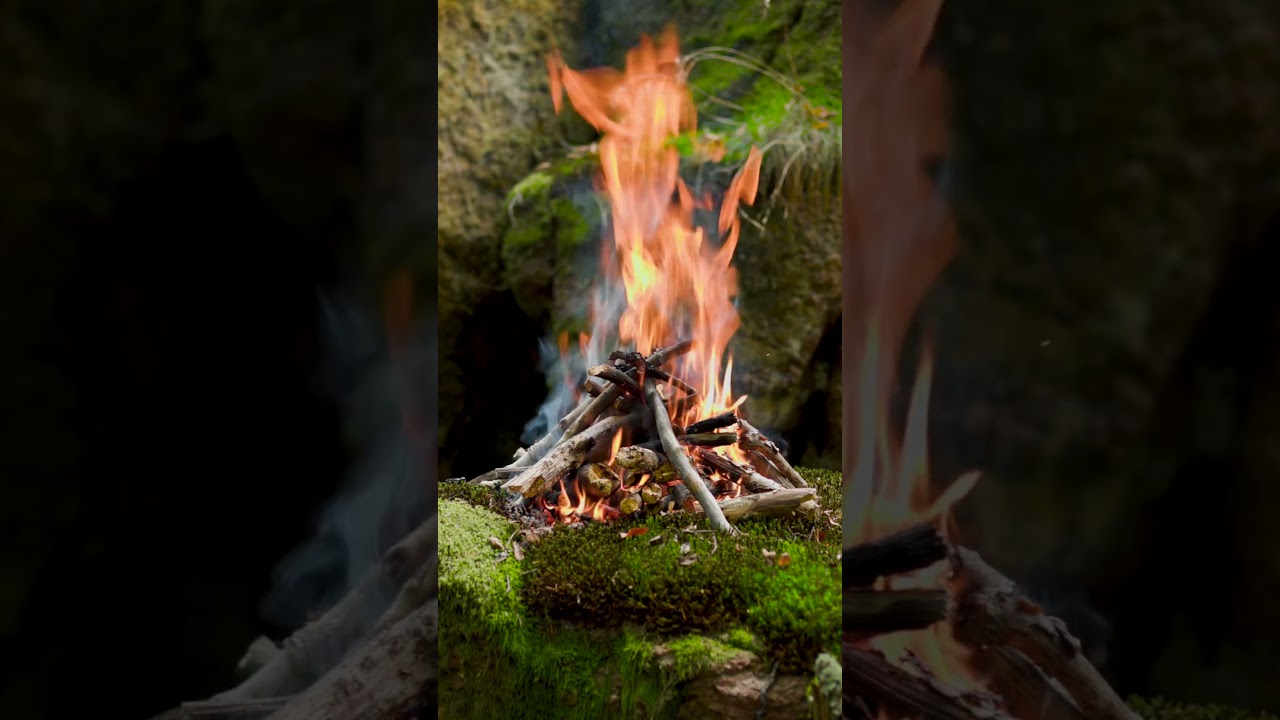 Forest Campfire with Birdsong &ndash; Relaxing Nature Sounds / ASMR #rivenmoss #nature  #campfire