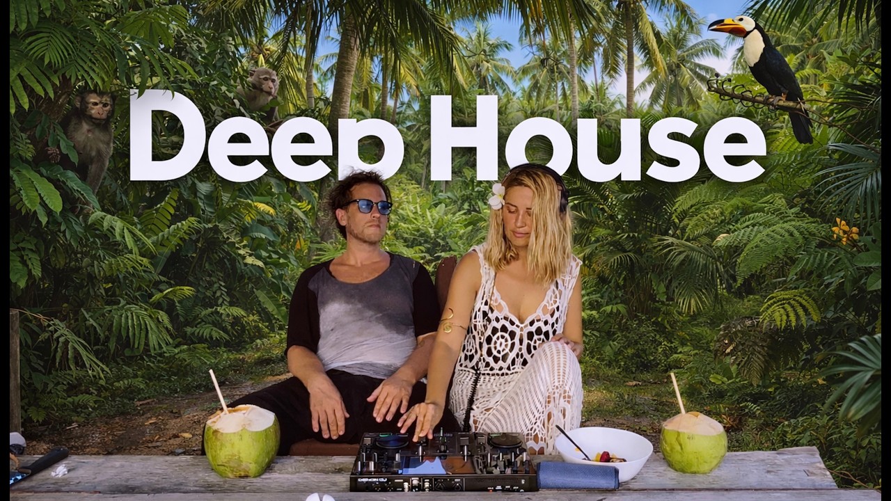 DEEP HOUSE mix 07 / Beach chill  vibes / live dj set / DAERYA & LEO