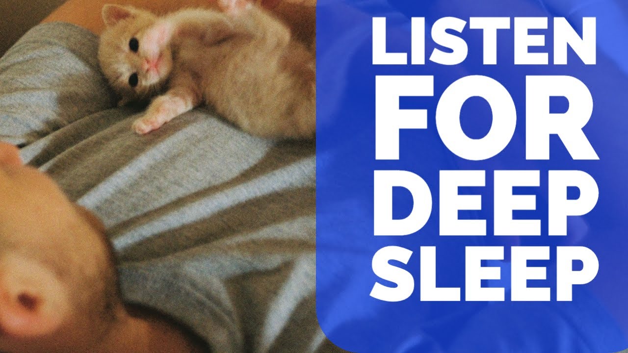ASMR Boyfriend breathing and cat purrs for deep sleep. Background comfort and tingles.