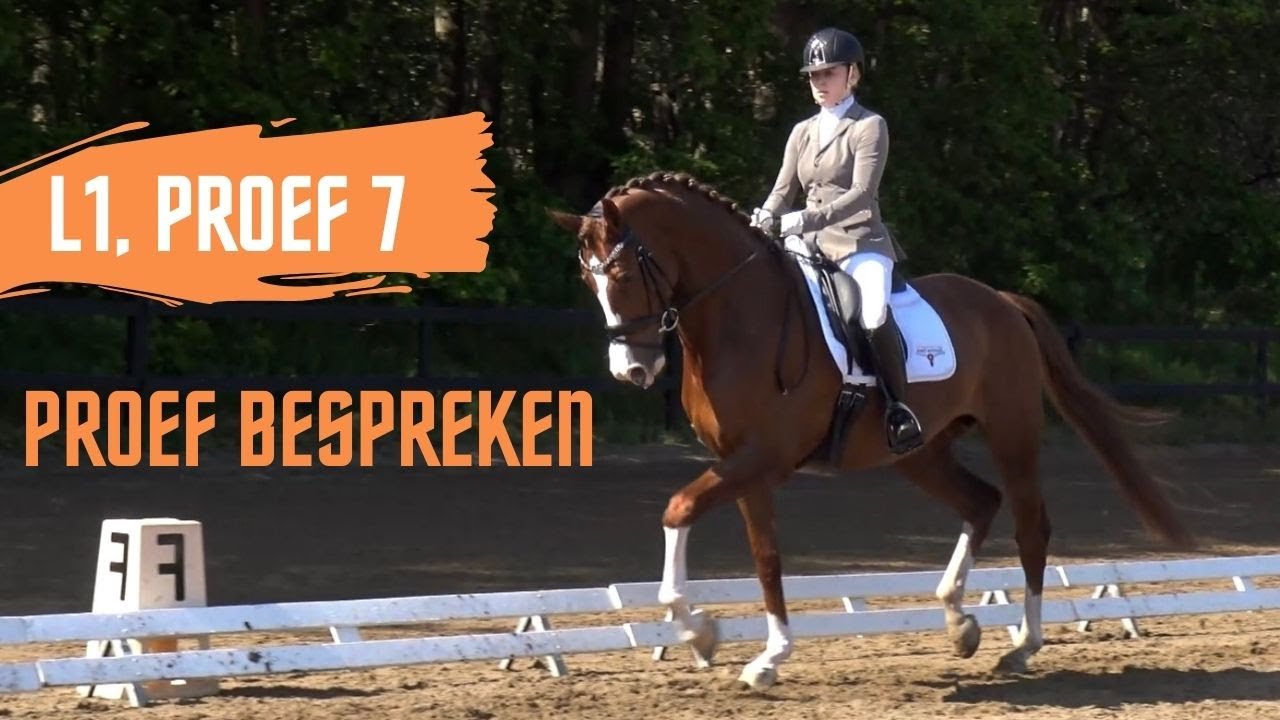 PROEF BESPREKEN + COMMENTAAR - L1 Proef 7