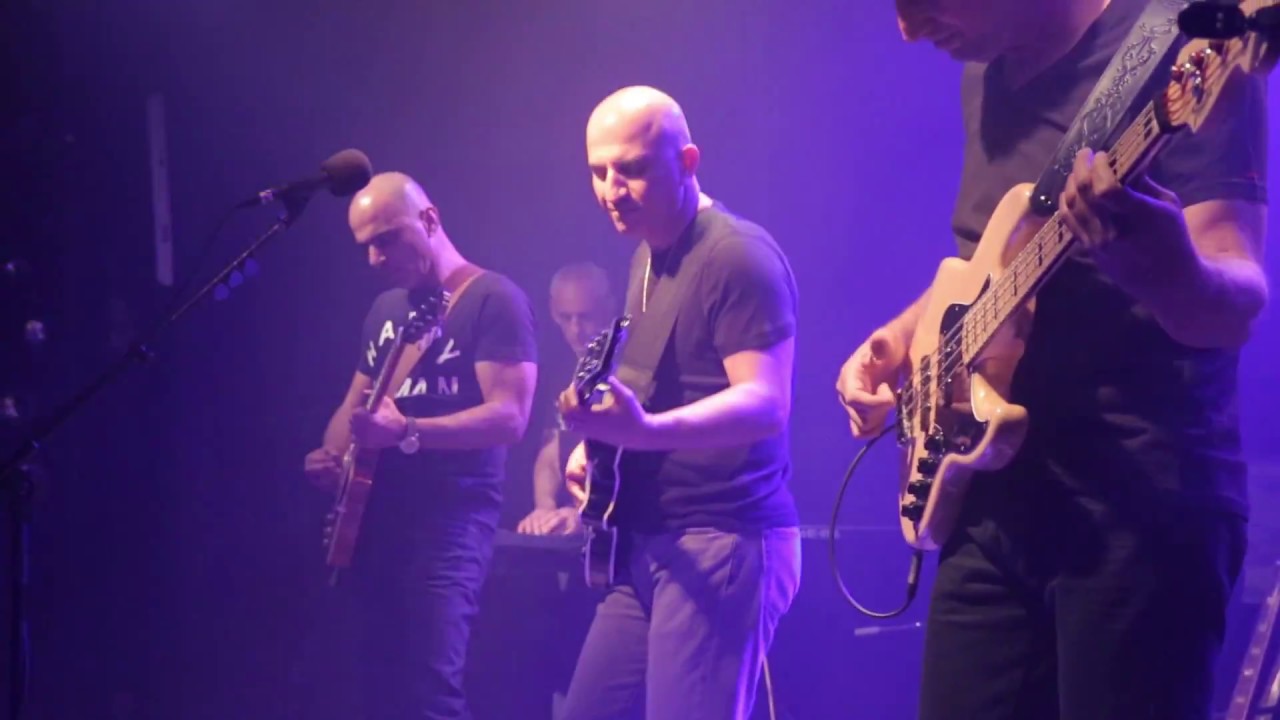 להקת מוסררה בהופעה חיה -