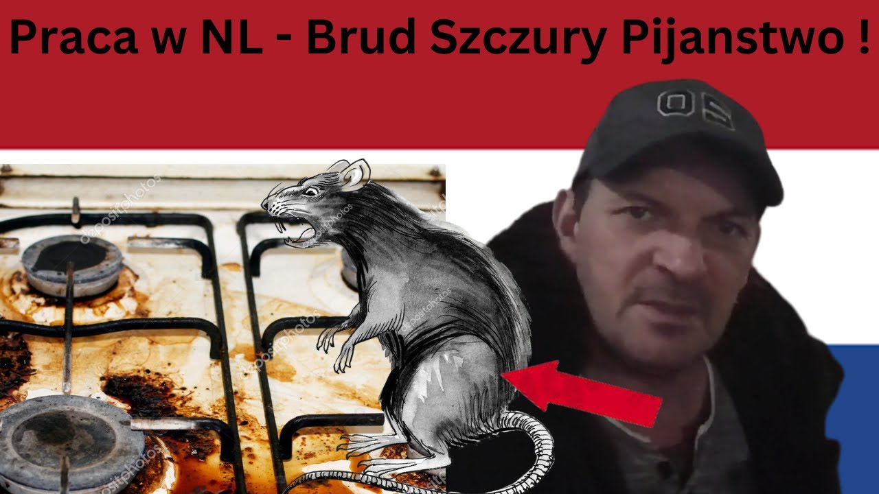 Praca w Holandi |  Pracowalem w Tilburgu