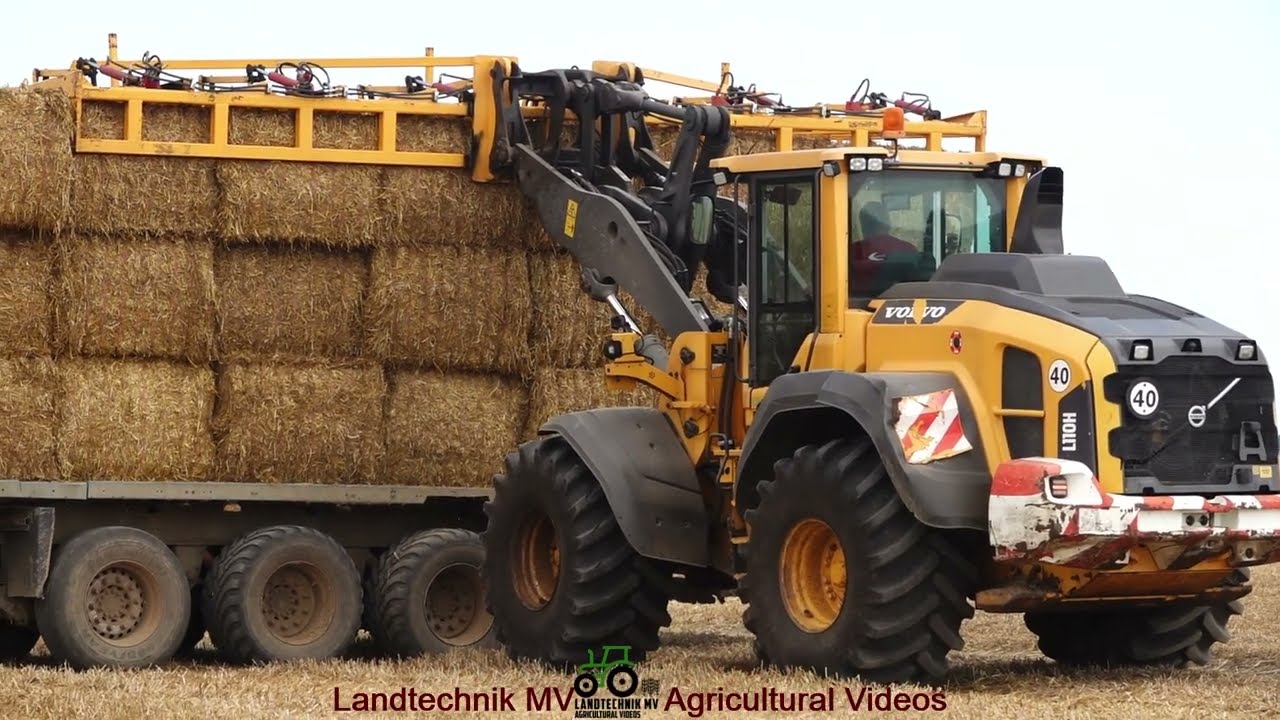 Fendt - Volvo - Case - Krone / Quaderballen Pressen - Square Bale Pressing  2024