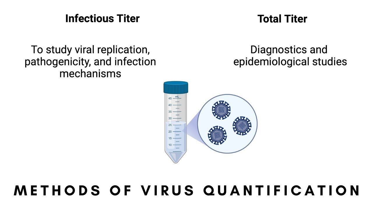 Virus Quantification: Infectious vs. Total Titers