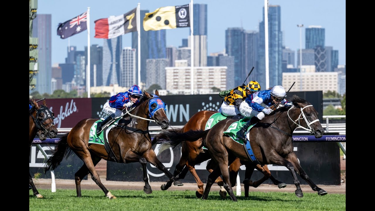 Atishu - Lot 517 Magic Millions Gold Coast National Broodmare Sale