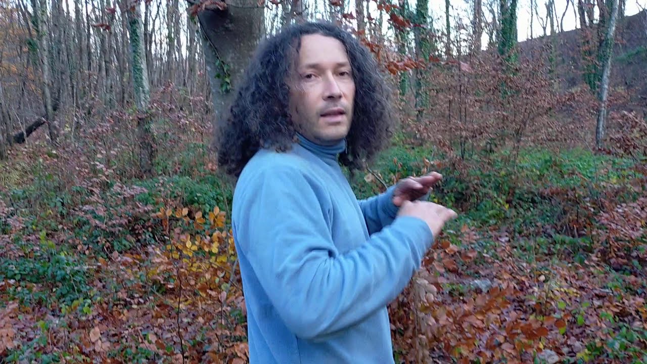 Il ceduo matricinato: come non gestire un bosco dal punto di vista naturalistico.