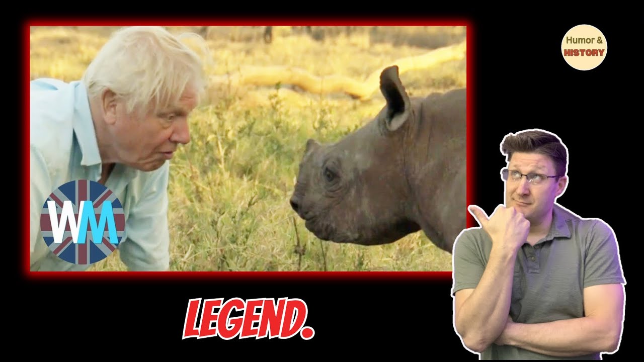 Top 10 David Attenborough Moments |American Reacts | #Reaction #davidattenborough #top10