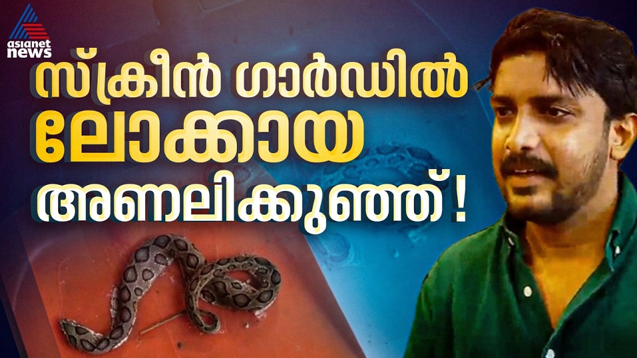 സ്‌ക്രീൻ ഗാർഡിൽ ലോക്കായ അണലിക്കുഞ്ഞ്!