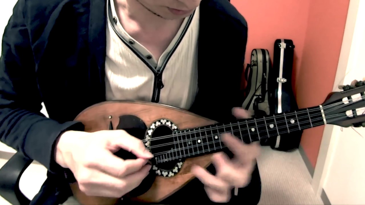 BLACKBIRD🐧 on mandolin #ビートルズ #石橋敬三 #マンドリン #mandoline #mandolin #beatles