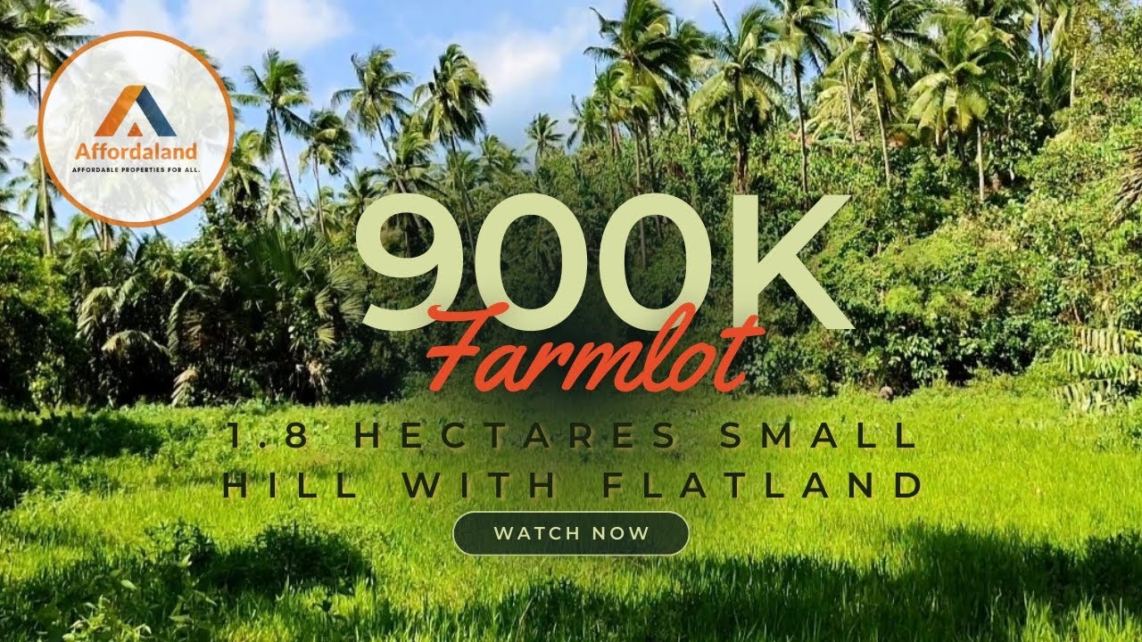 (NOT AVAILABLE)BUROL + TUBIGAN 900K Napakamura!! FARMLOT#propertyforsale #landforsale #lotforsale