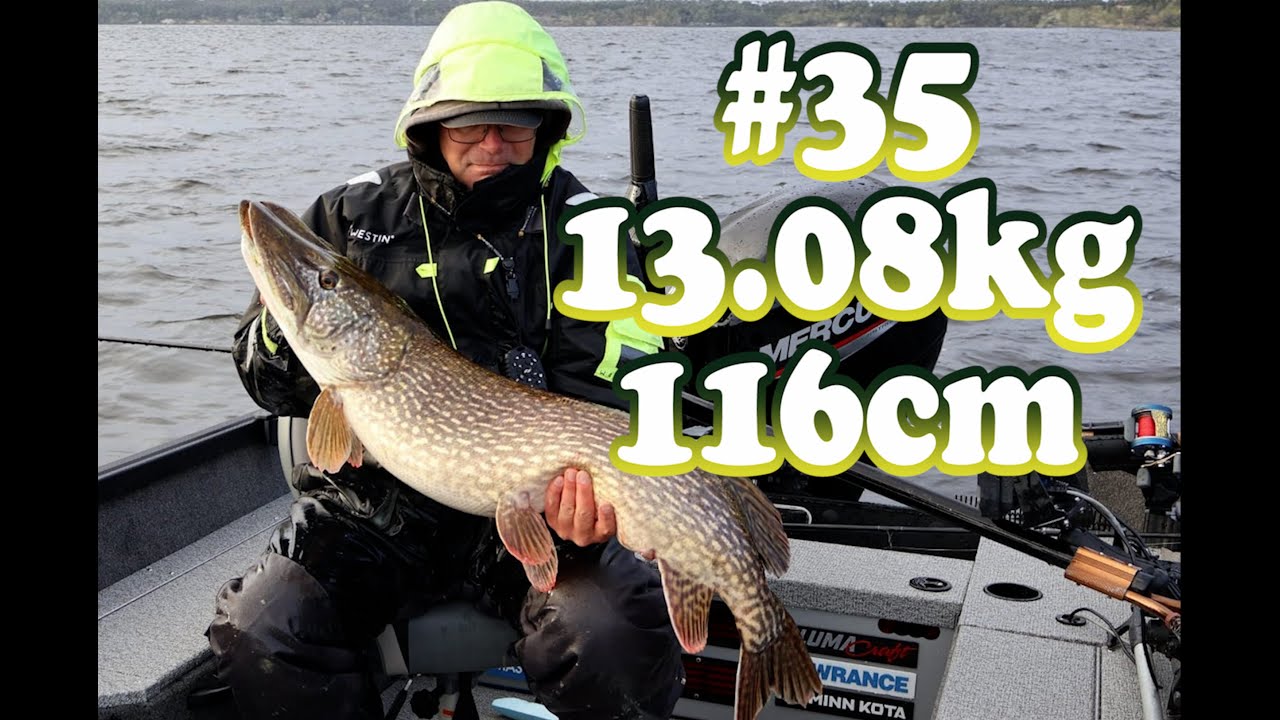 G&auml;dda 10kg+ del 35, 13.08kg