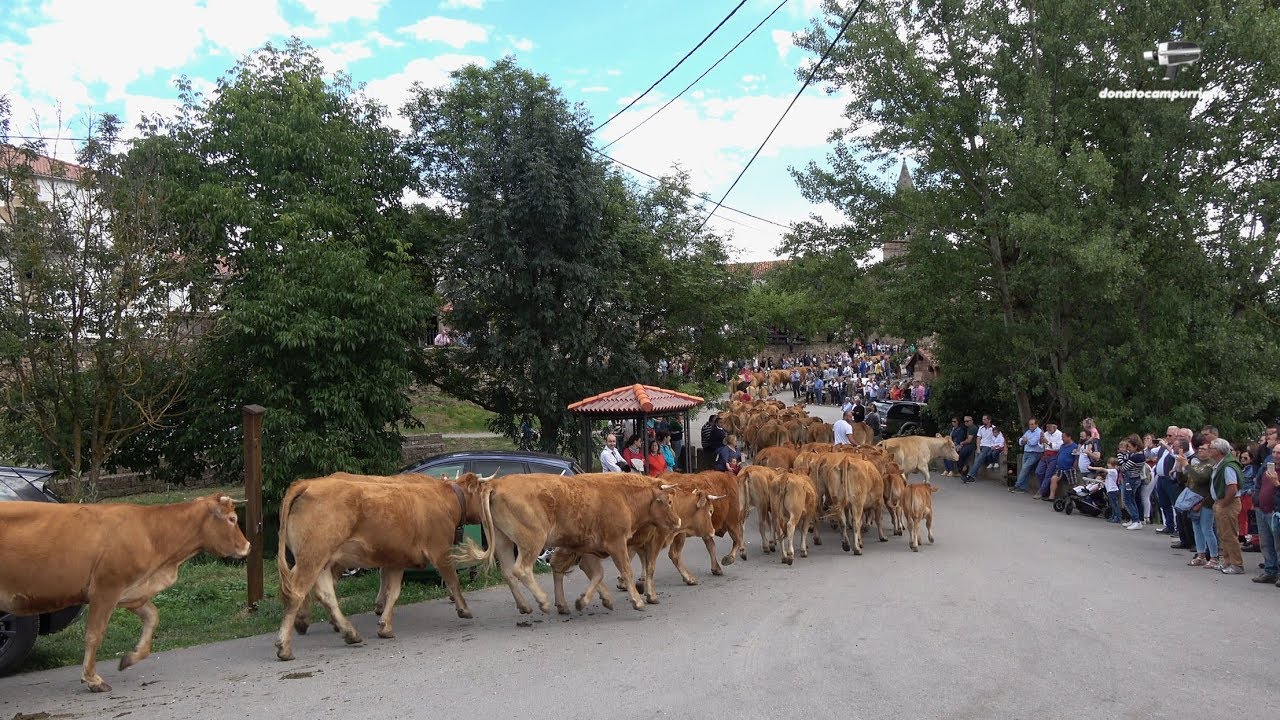 Abiada - Fiesta de los campanos 2019 - Campoo de Suso -Cantabria