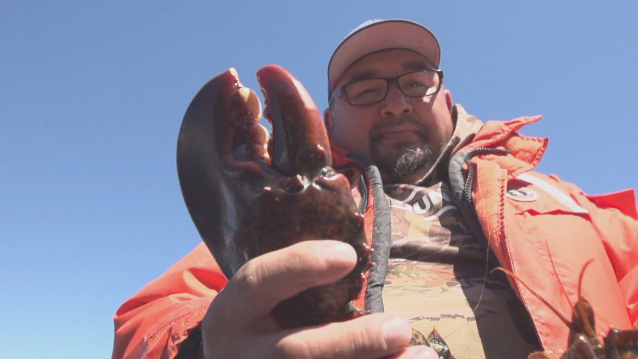 Du homard pêché traditionnellement au restaurant Le Clan