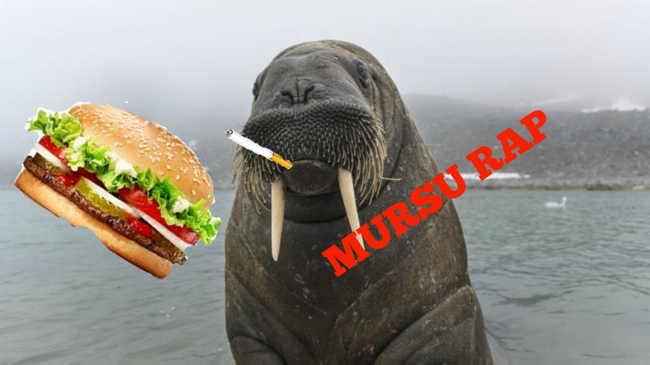 MURSU RAP