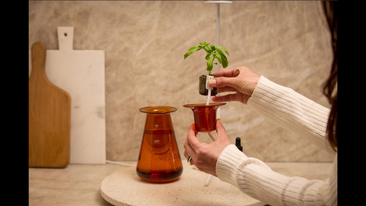 How To: Plant a Seedling in The Counterstand