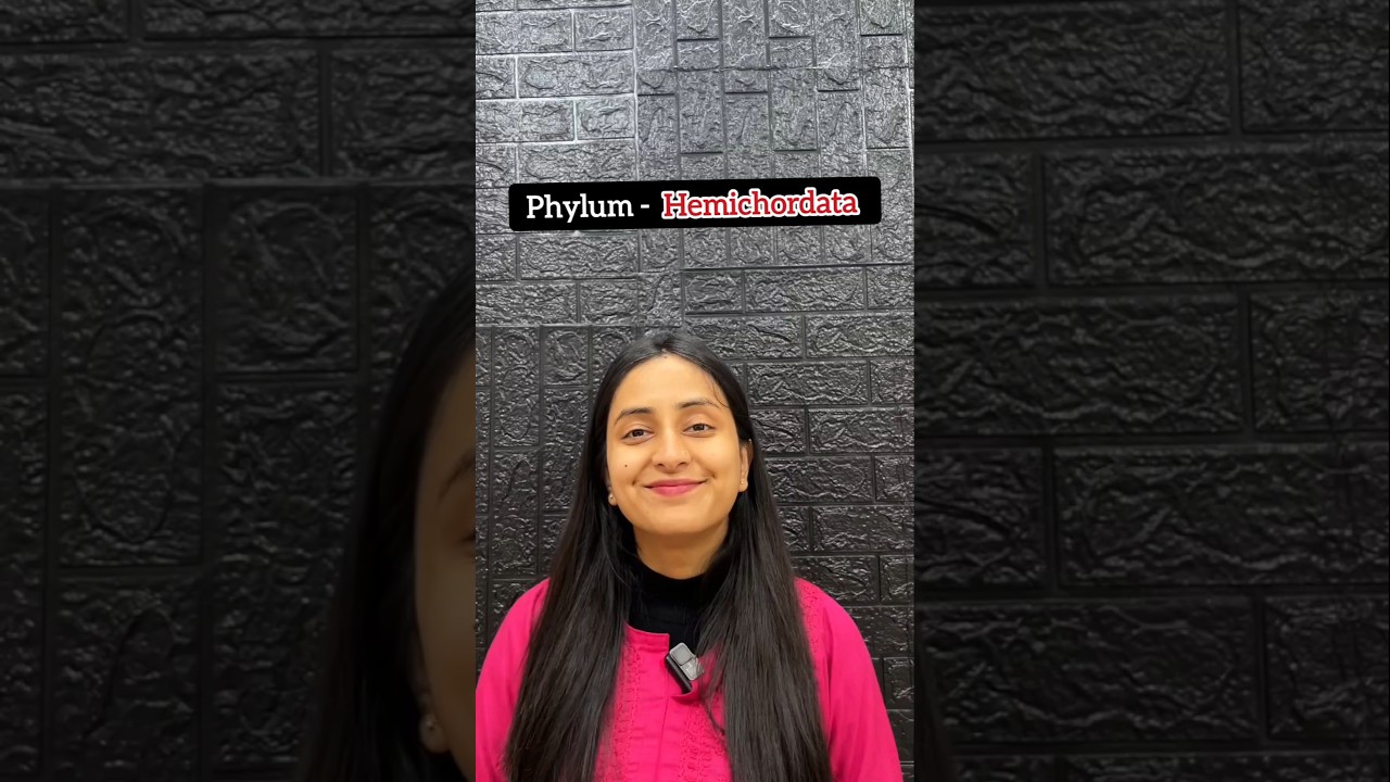 Phylum Hemichordata | Animal Kingdom #shorts #ytshorts #biology #neet #class11 #study #ncert