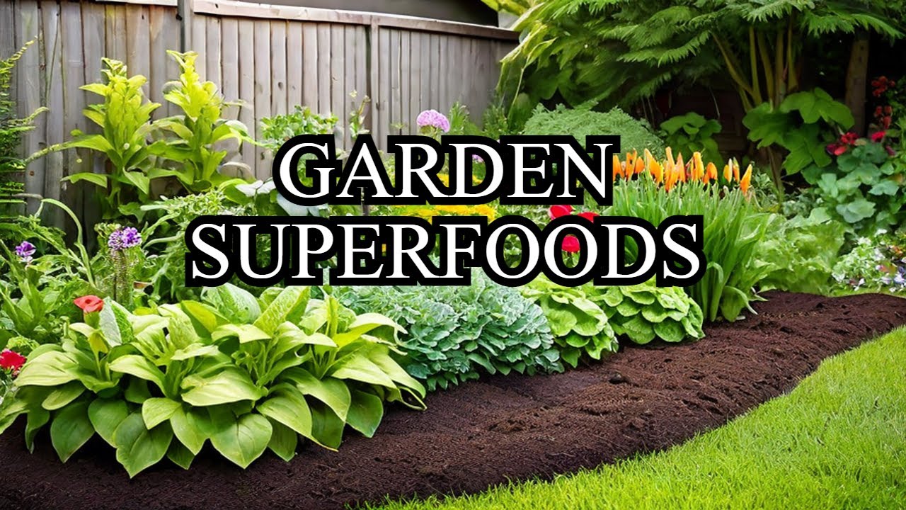3 BEST Organic Fertilizers to Boost Your Backyard Garden!
